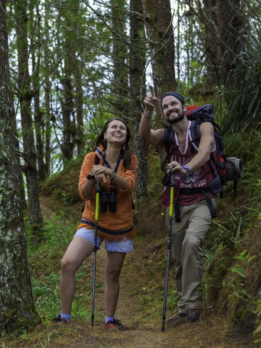 Caminata guiada por el bosque en Baños