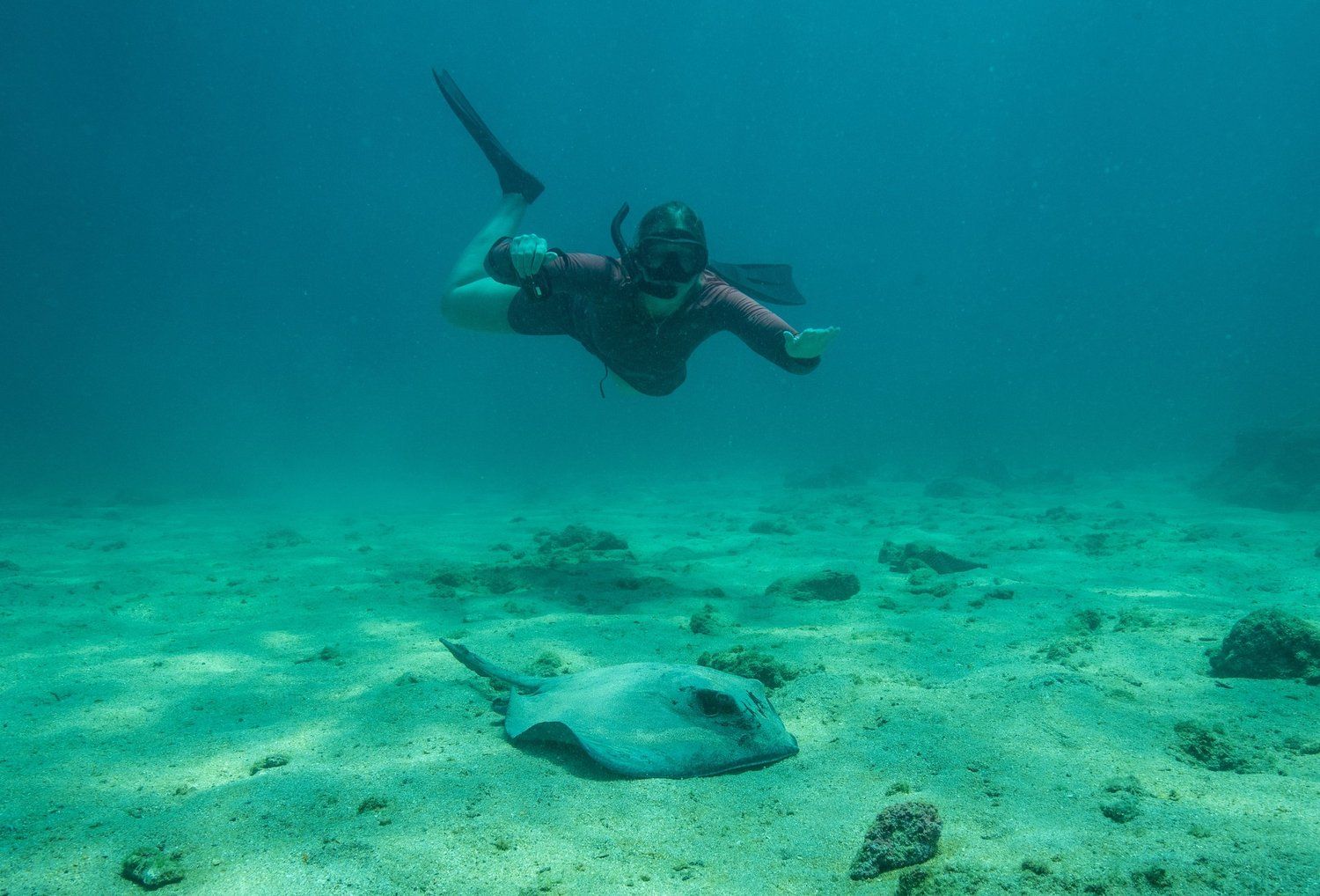 Ecuador y las islas Galápagos - 23n / 24d — imagen 9 de 9
